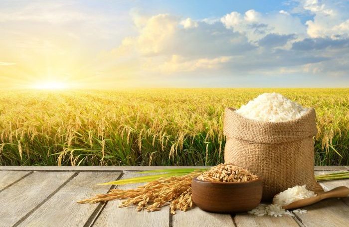 Organic & Natural Agro Products