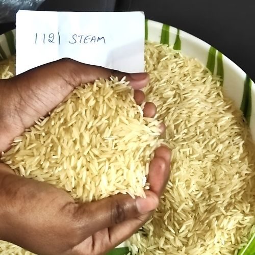 rice_500 (1)