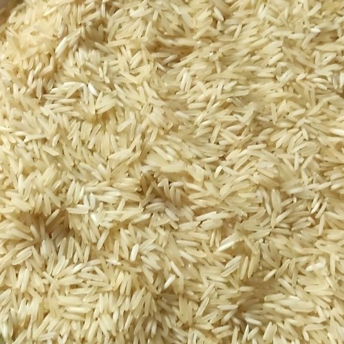 rice_500